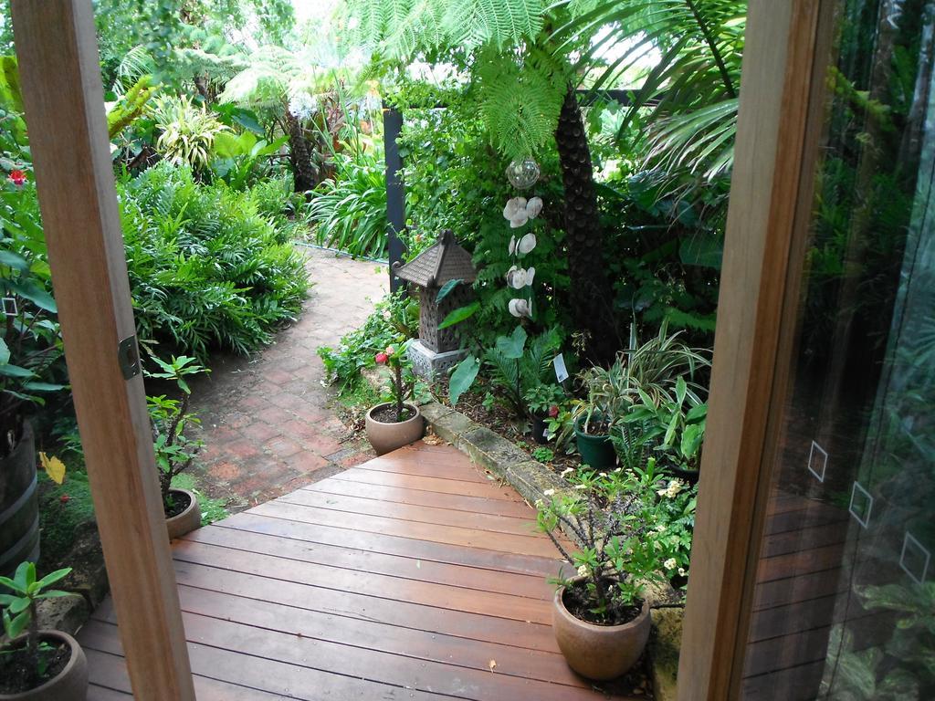 Albany Bali Style Accommodation المظهر الخارجي الصورة
