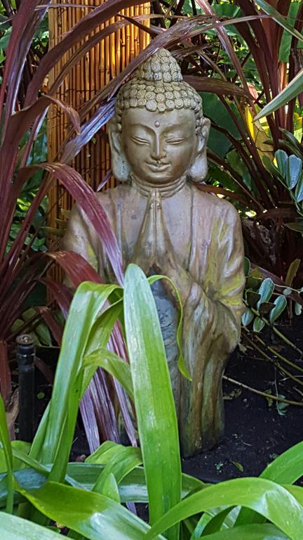 Albany Bali Style Accommodation المظهر الخارجي الصورة