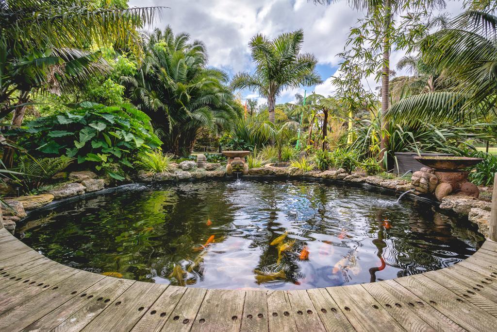 Albany Bali Style Accommodation الغرفة الصورة